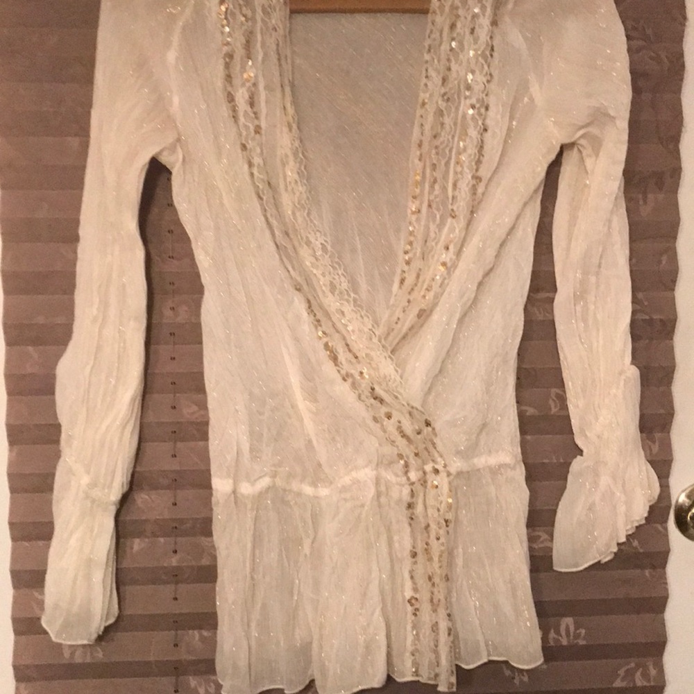 Metallic sequined shear blouse.
